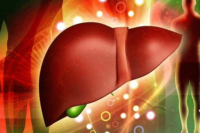 the effect of drugs on liver activity