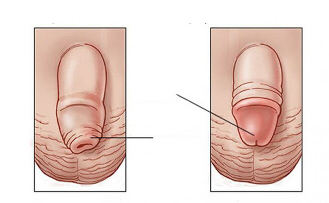 What duty does the lubricant perform